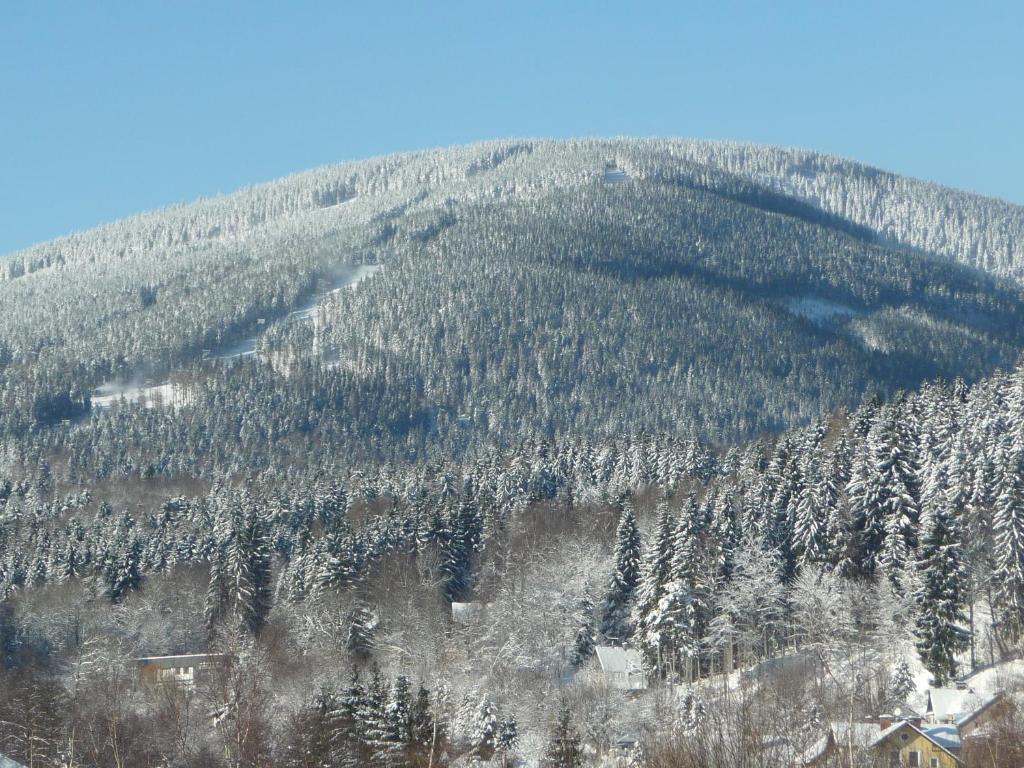 Blue Pension Svoboda nad Úpou Exteriör bild