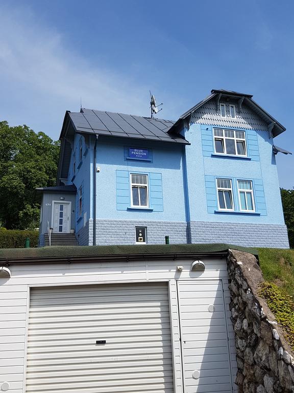 Blue Pension Svoboda nad Úpou Exteriör bild
